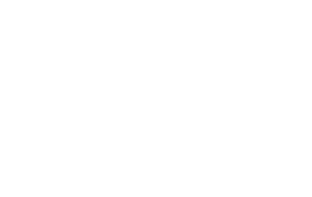 DalupSystem Logo
